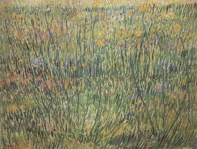 Vincent Van Gogh Pasture in Bloom (nn04) oil painting image